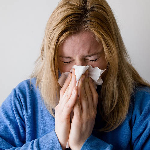 Vue interieure de la Pharmacie Carnot